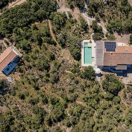 Luxury Con Piscina Privata E Retreat Yoga Cala Bitta