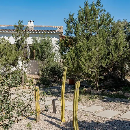 Luxury Con Piscina Privata E Retreat Yoga Villa Cala Bitta